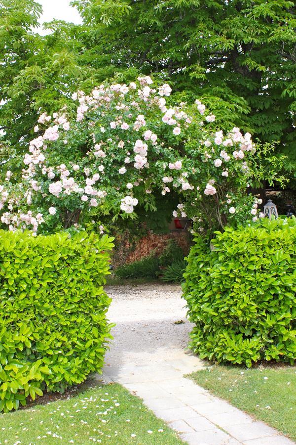 B&B La Badelle Gordes Dış mekan fotoğraf