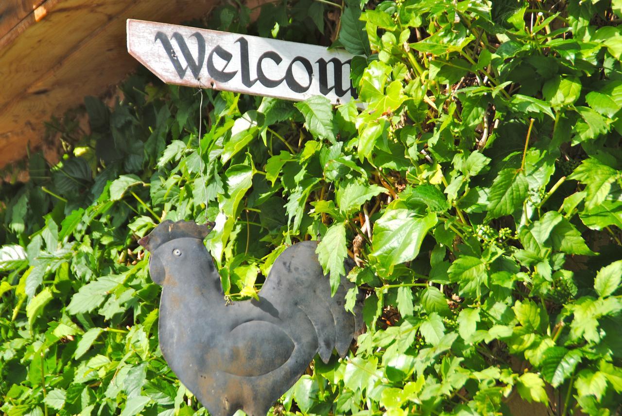 B&B La Badelle Gordes Dış mekan fotoğraf